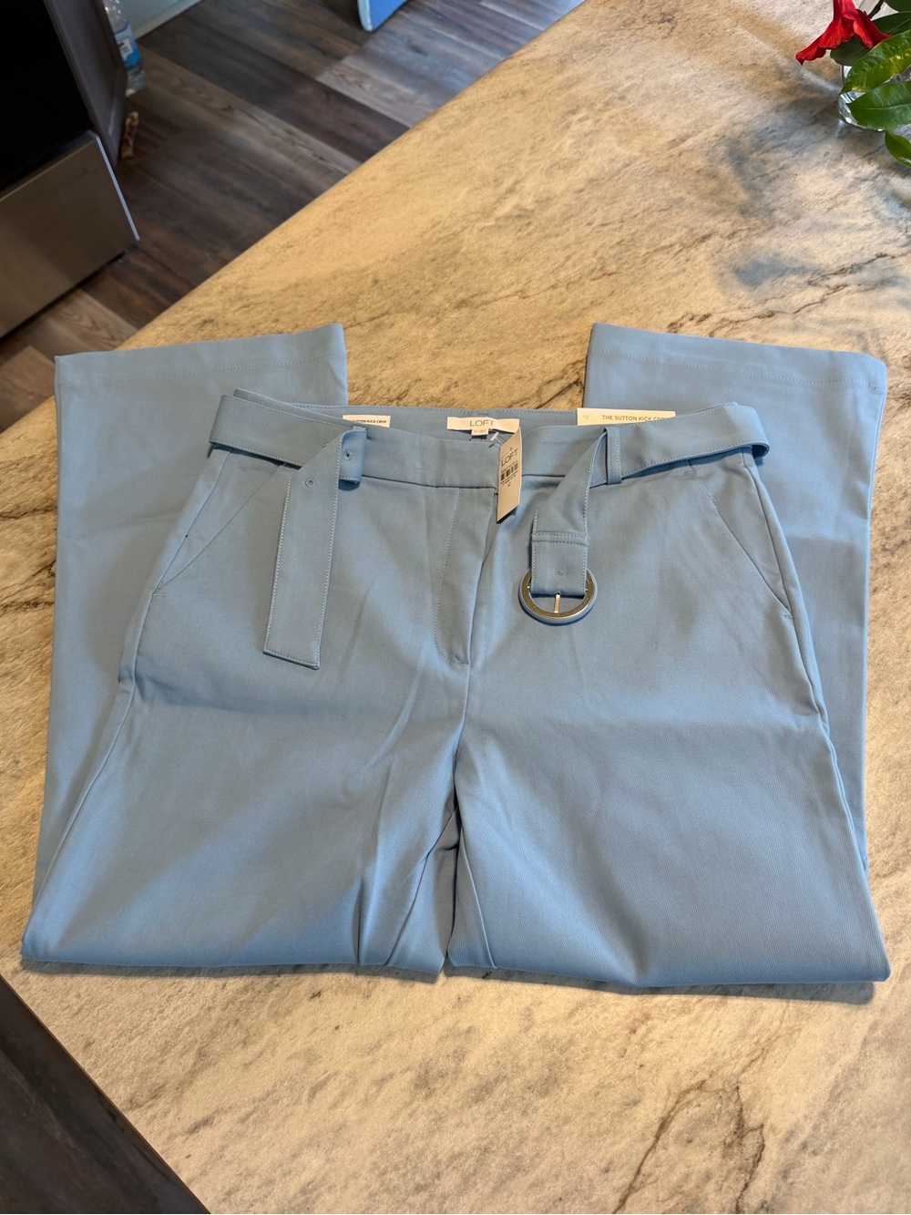 LOFT Light Blue women’s cropped chinos with D-Ring Belt NWT!!!